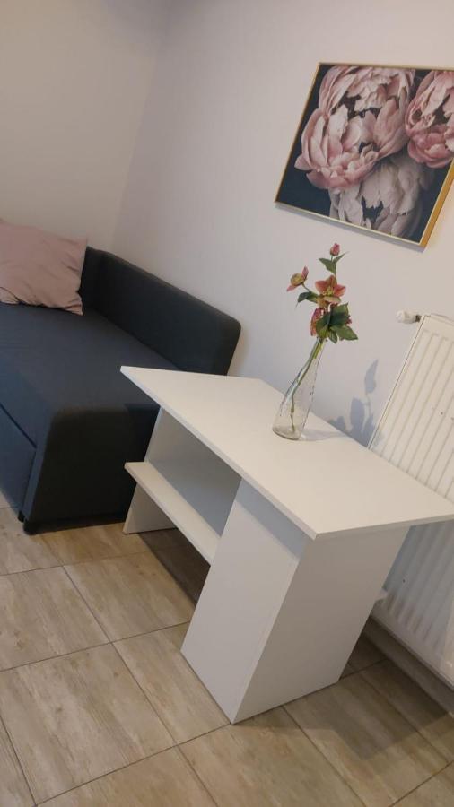 Apartamenty Grapa Szum Rzeki Parking Free Wisła Exterior foto