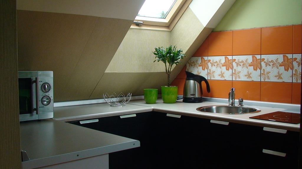 Apartamenty Grapa Szum Rzeki Parking Free Wisła Quarto foto
