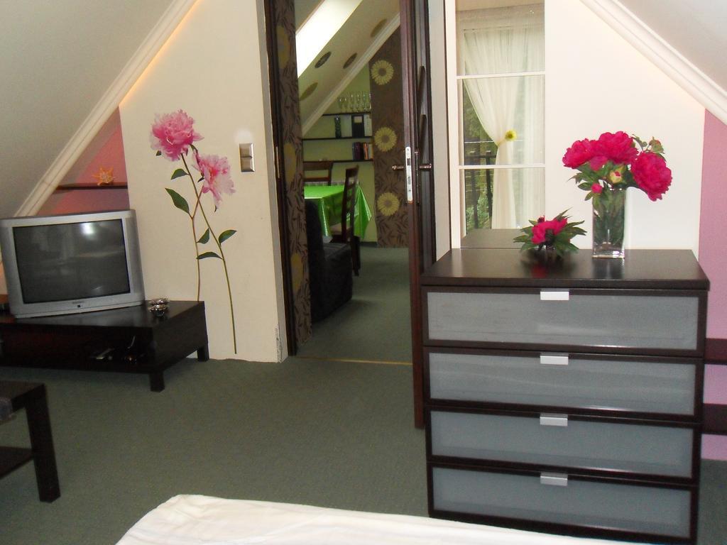 Apartamenty Grapa Szum Rzeki Parking Free Wisła Quarto foto